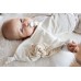 Comforter with wooden teether - Teddy